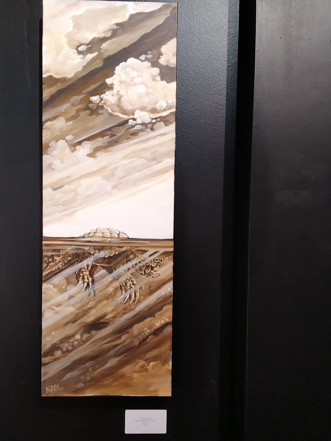 Breaching Emma Creek